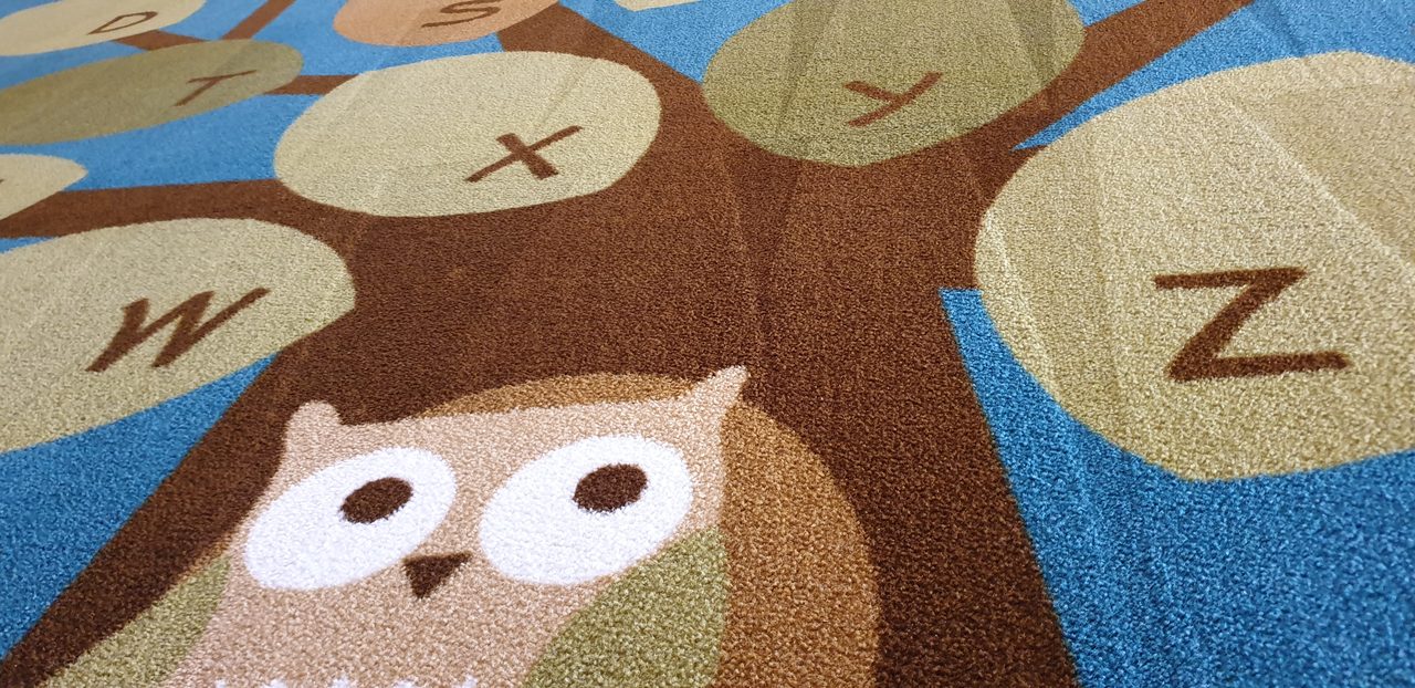 Close on a printed childcare rug in Perth with the pile freshly cleaned, a loose rug that should come up whenever the carpet under it is cleaned.