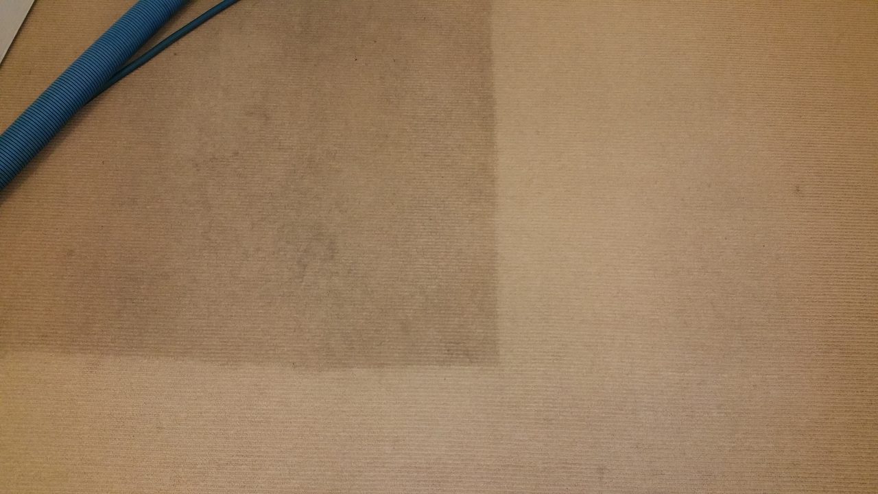 Tan ribbed carpet half cleaned, the soiled block beside the rinsed pile, ordinary soil that lifts out where a dye stain would need its own chemistry.