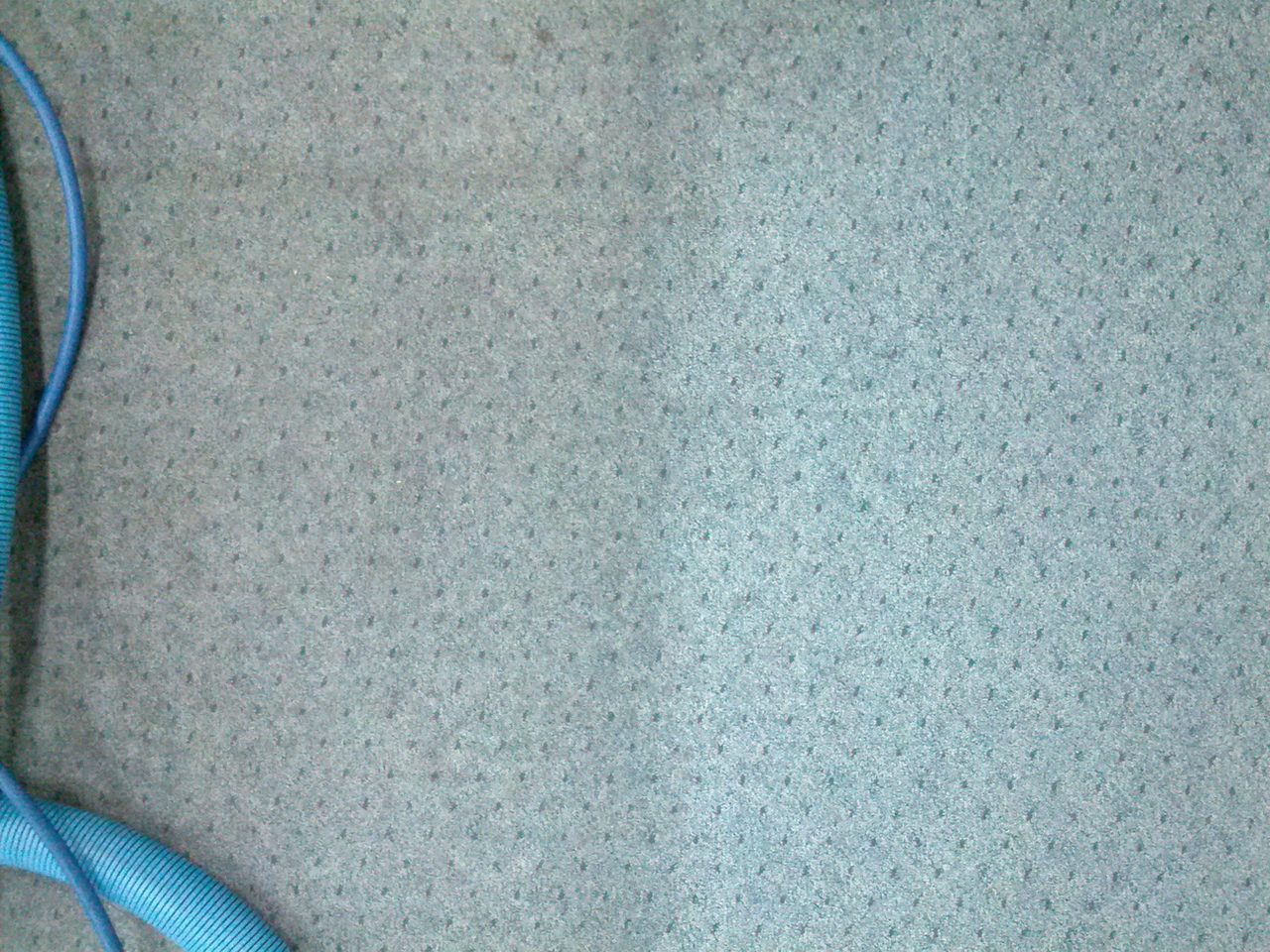 Sage-green carpet split by a clean line, the brighter side cleaned with products set to suit the fibre we identify on site.