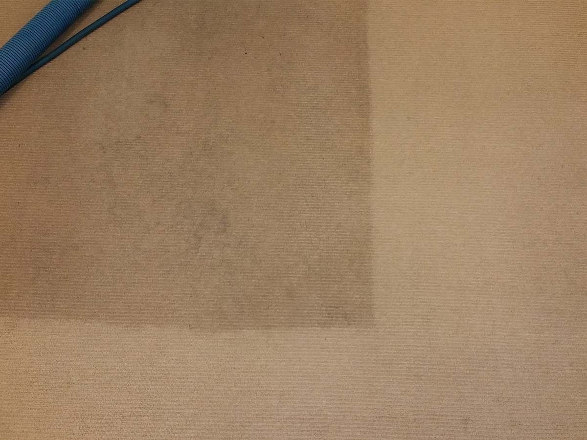 Tan cord carpet with a cleaned band beside soiled pile, the heat, moisture and agitation set to what this fibre can safely take.