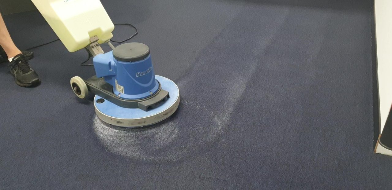 Encapsulation solution worked into navy broadloom by the scrubbing machine's pad, mixed at the dilution the soil level calls for
