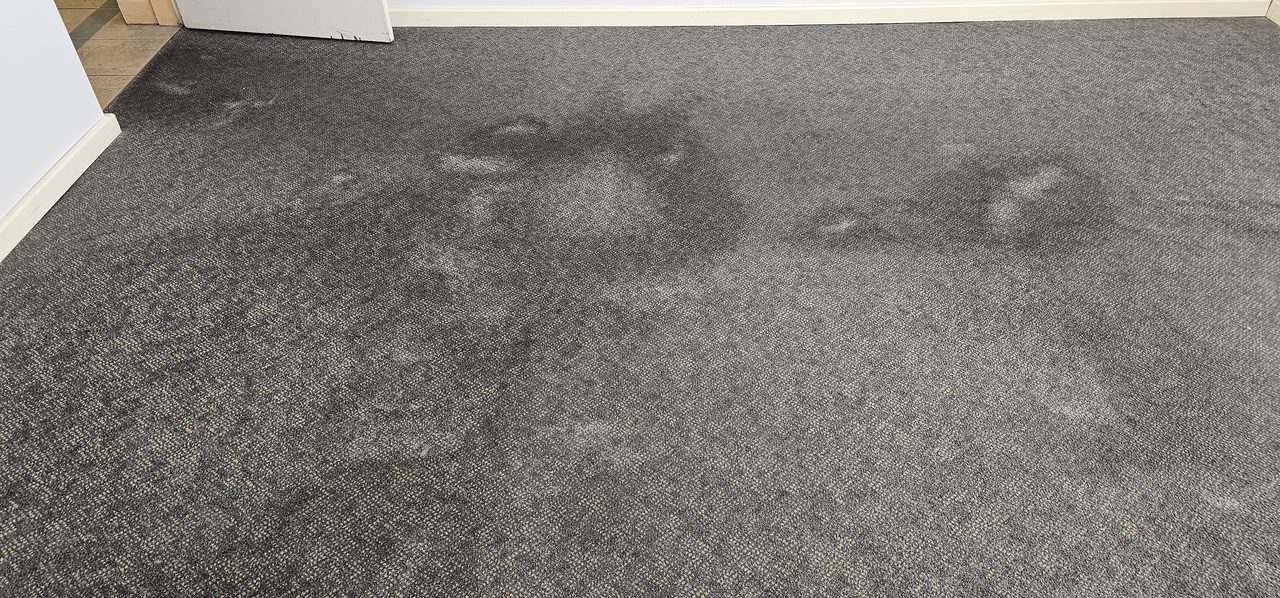 Patchy traffic marks across charcoal loop carpet in a Perth office, the soiling we assess before recommending how often to clean