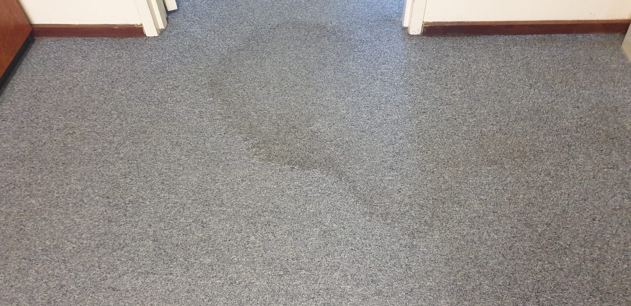 A darker traffic path showing down grey blue office broadloom in Perth, a sign the carpet has gone too long between cleans