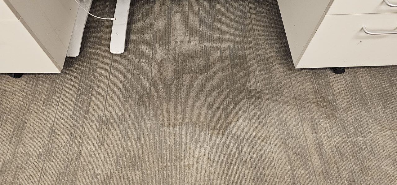A heavy traffic and spill shadow across fawn carpet tiles between Perth office desks, soiling that cleans out where worn pile does not