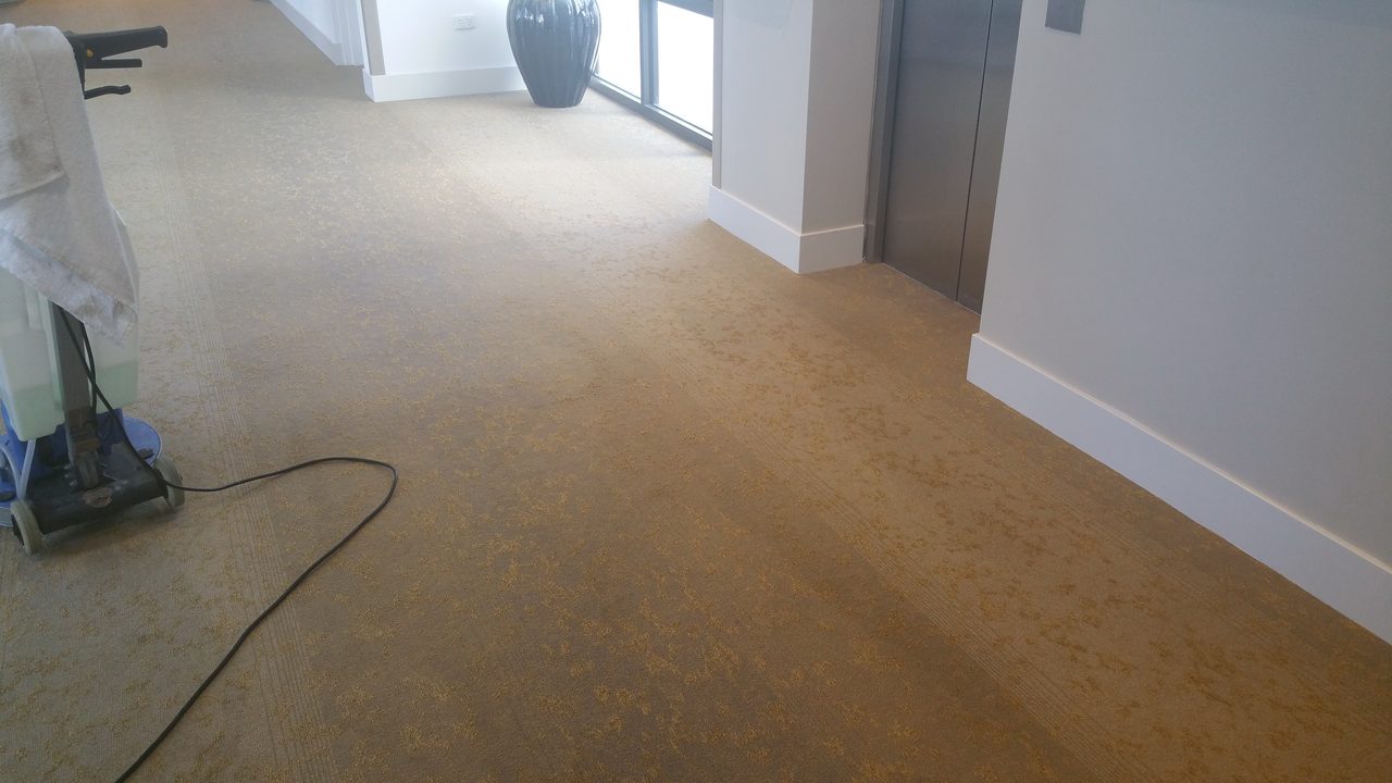 Patterned broadloom in a Perth strata lift lobby, common property carpet that the strata company pays to keep clean