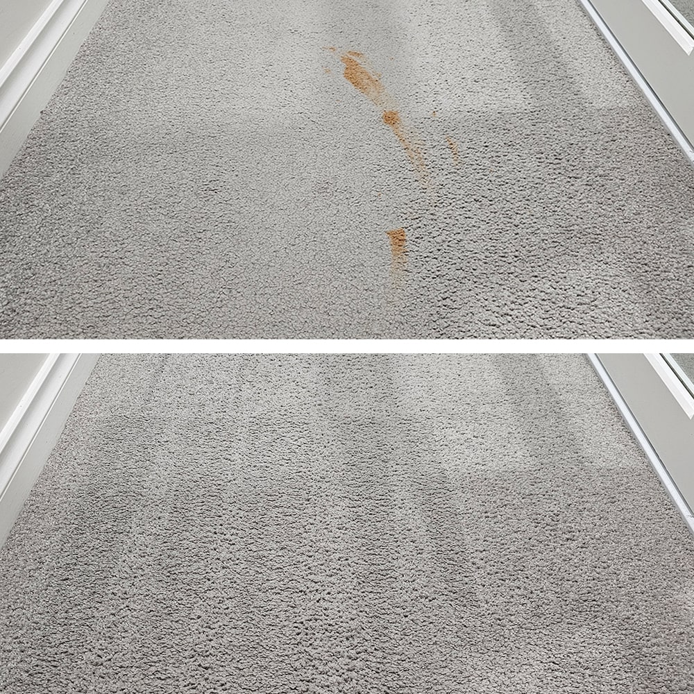 An orange spill trailing down grey cut pile carpet in Perth, removed without a trace of colour left in the fibre