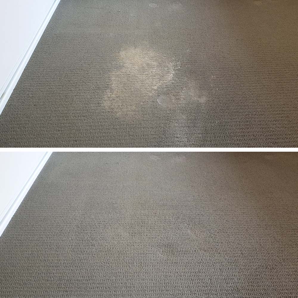 Pale spill residue patches on brown loop pile carpet in Perth, cleaned out so the colour runs unbroken again