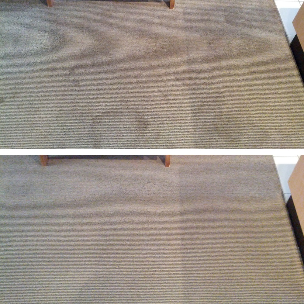 Spill rings and dark marks on beige ribbed carpet in Perth, cleared to leave a clean, consistent floor
