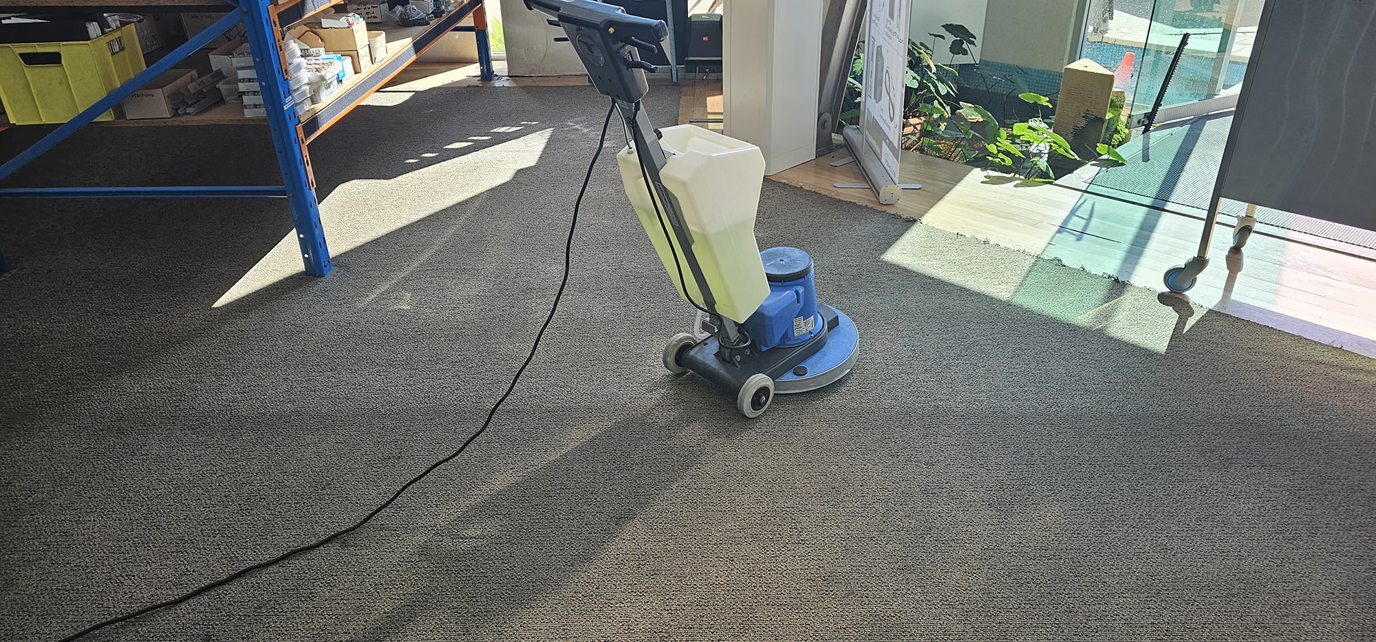 Sunlit office carpet in Perth being scrubbed, each pass already brighter than the soiled floor beside it