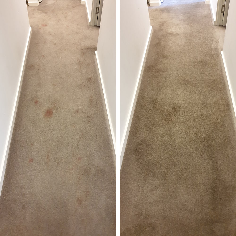 Red and orange spots along a beige hallway in a Perth building, removed and the carpet refreshed along its full length
