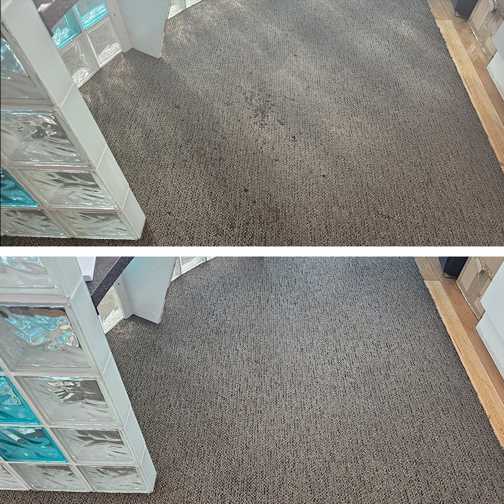Dark spots and dull traffic soil lifted from grey loop pile carpet in a Perth office, its texture crisp again