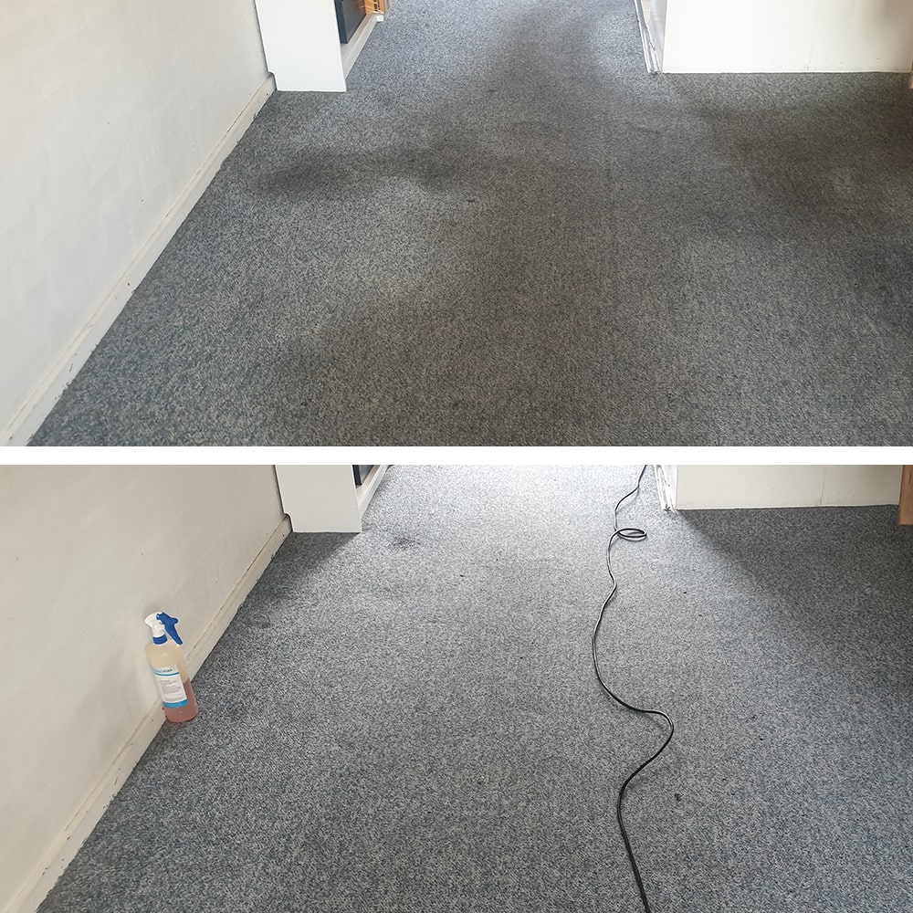 A dark traffic patch at a Perth office doorway, cleaned from blue grey carpet so the walkway matches the room