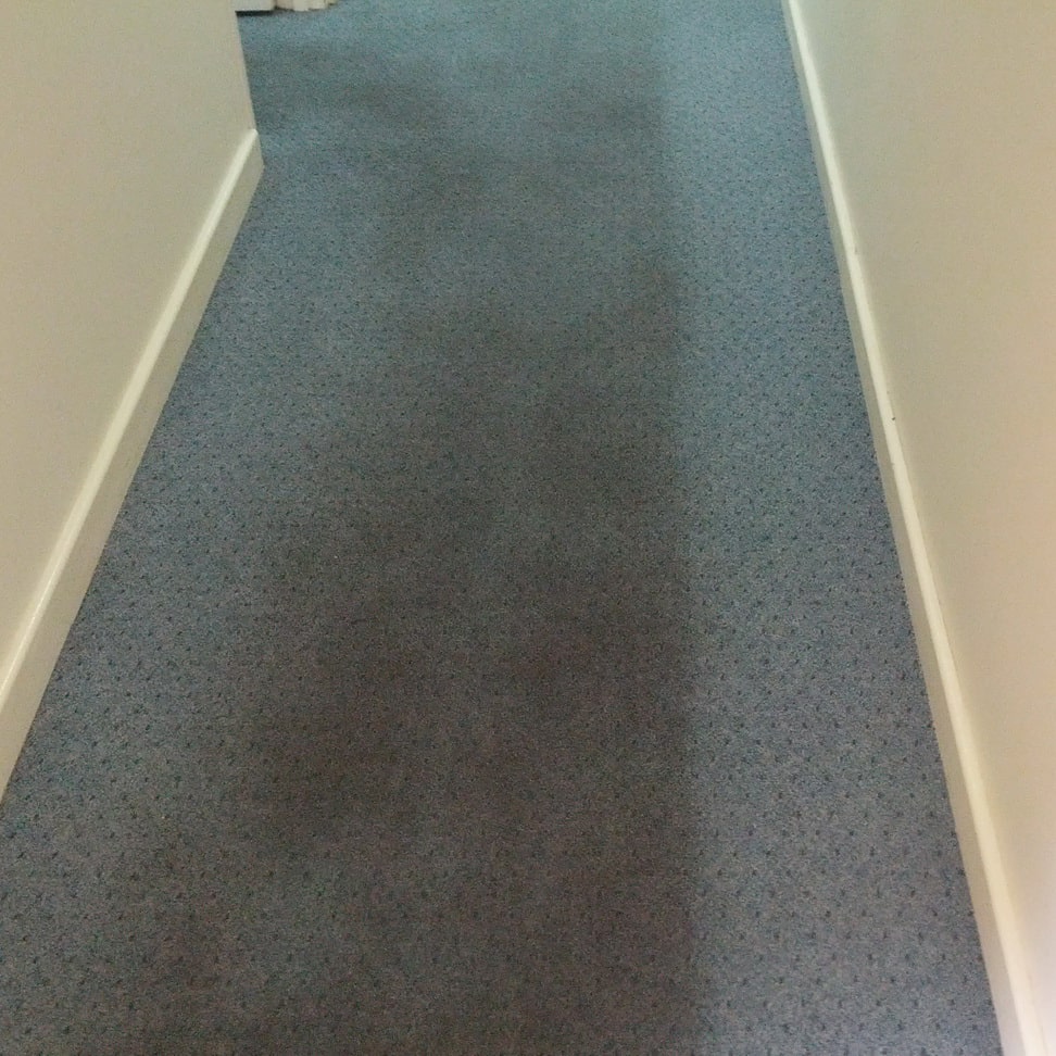 Half of a Perth office corridor cleaned, the fresh blue carpet set against the traffic soil still darkening the walkway