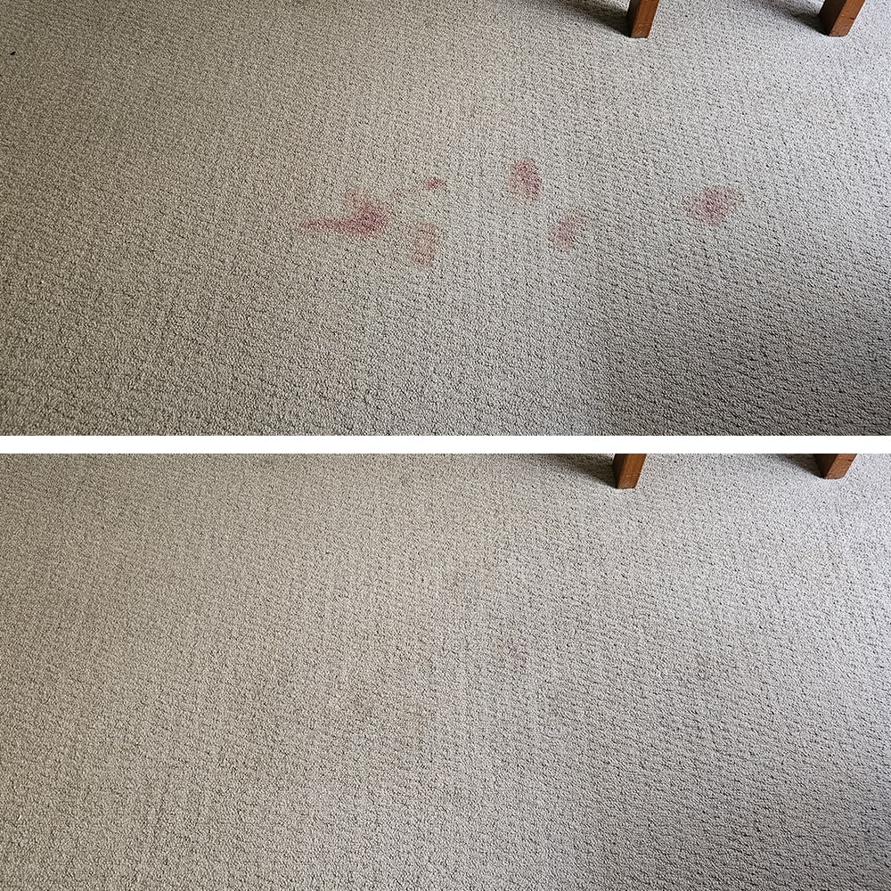 Red spot stains on light beige carpet in Perth, removed so not a trace of pink is left in the loops