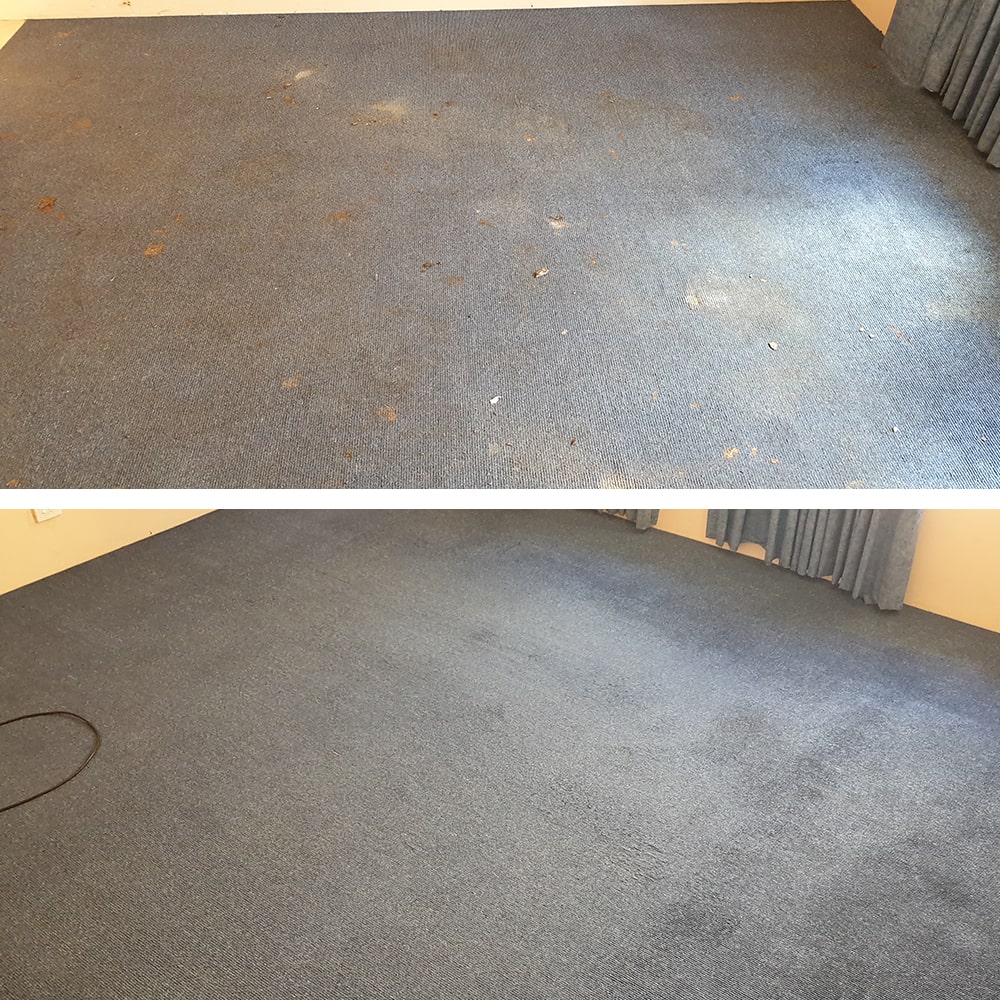 Orange spots and scattered marks cleaned from blue commercial carpet in Perth, with the colour even again