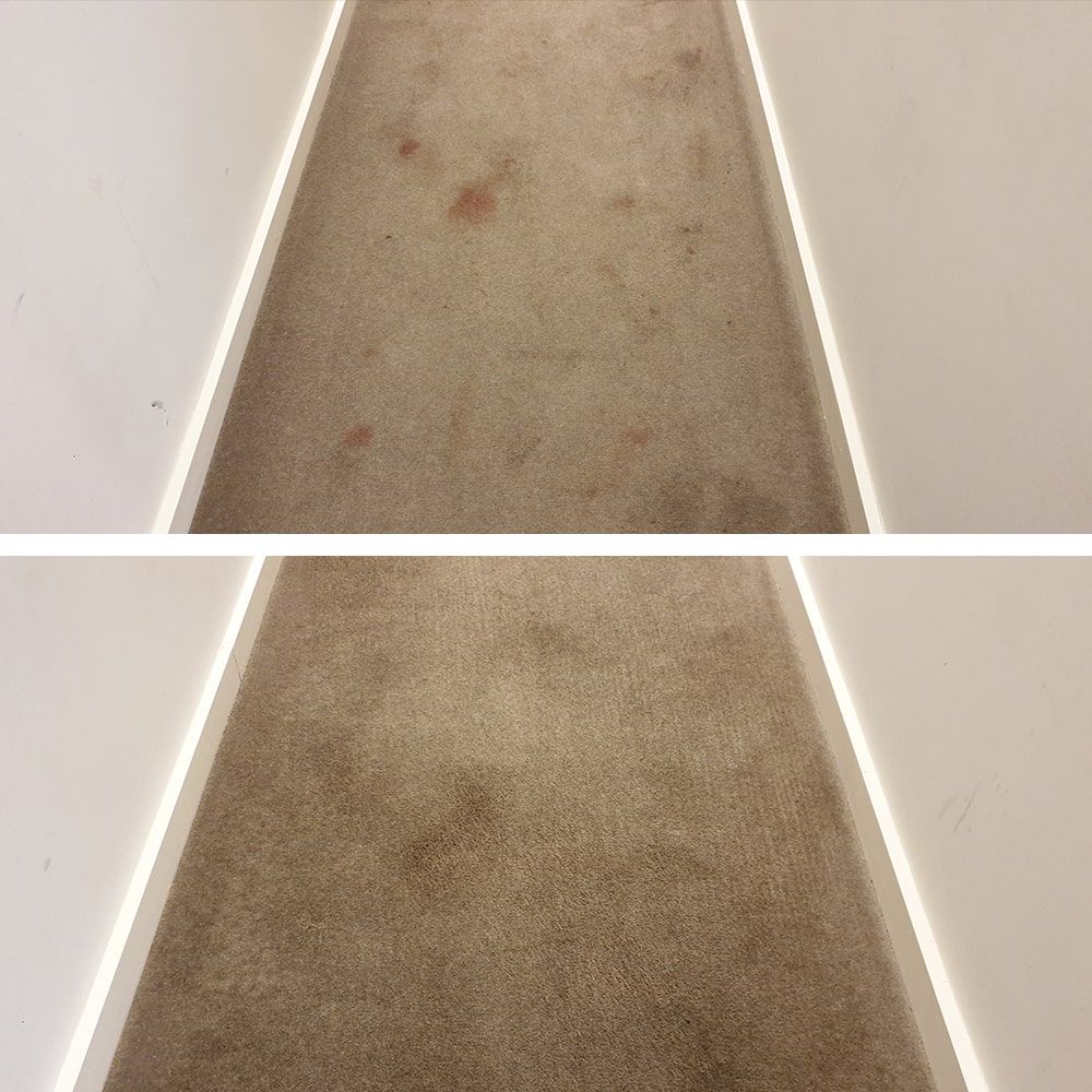 Red spots and traffic soil cleaned from a narrow beige corridor in Perth, the carpet freshened wall to wall