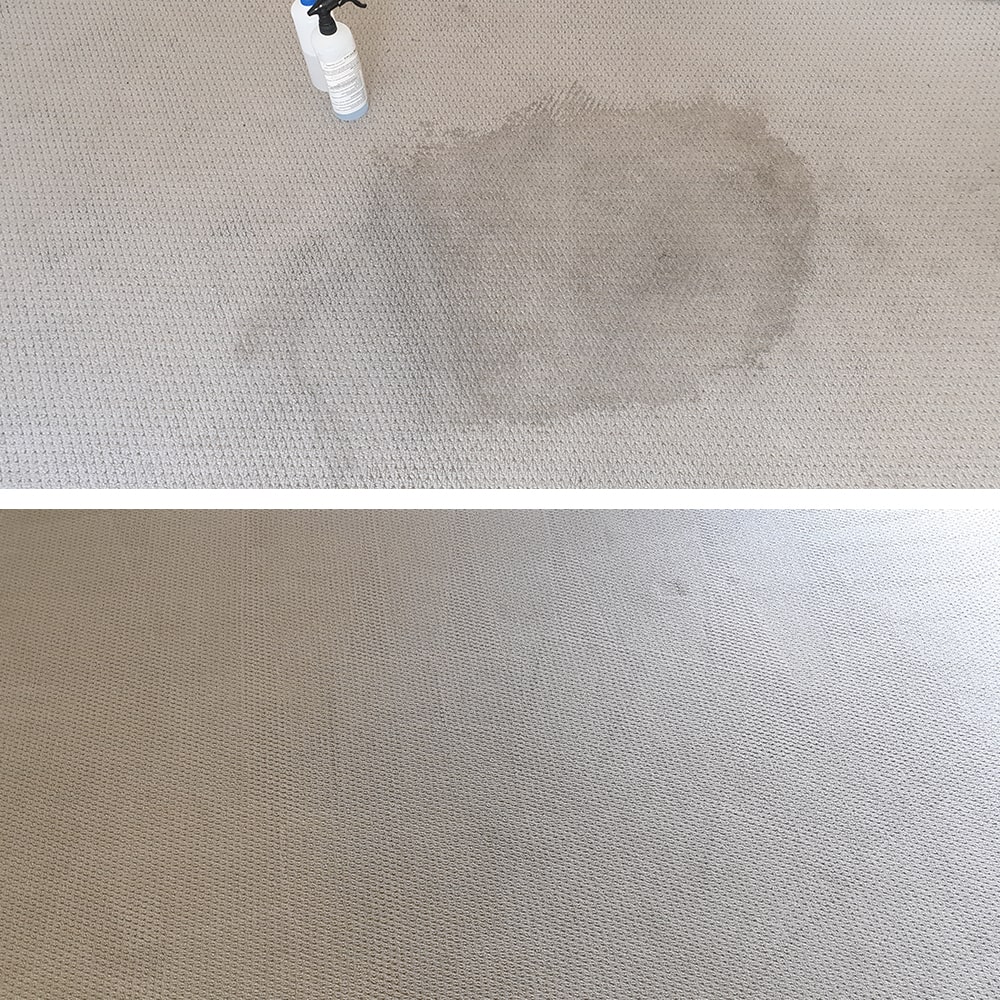 A large dark spill on pale office carpet in Perth, removed so completely the loop pile reads as one colour again