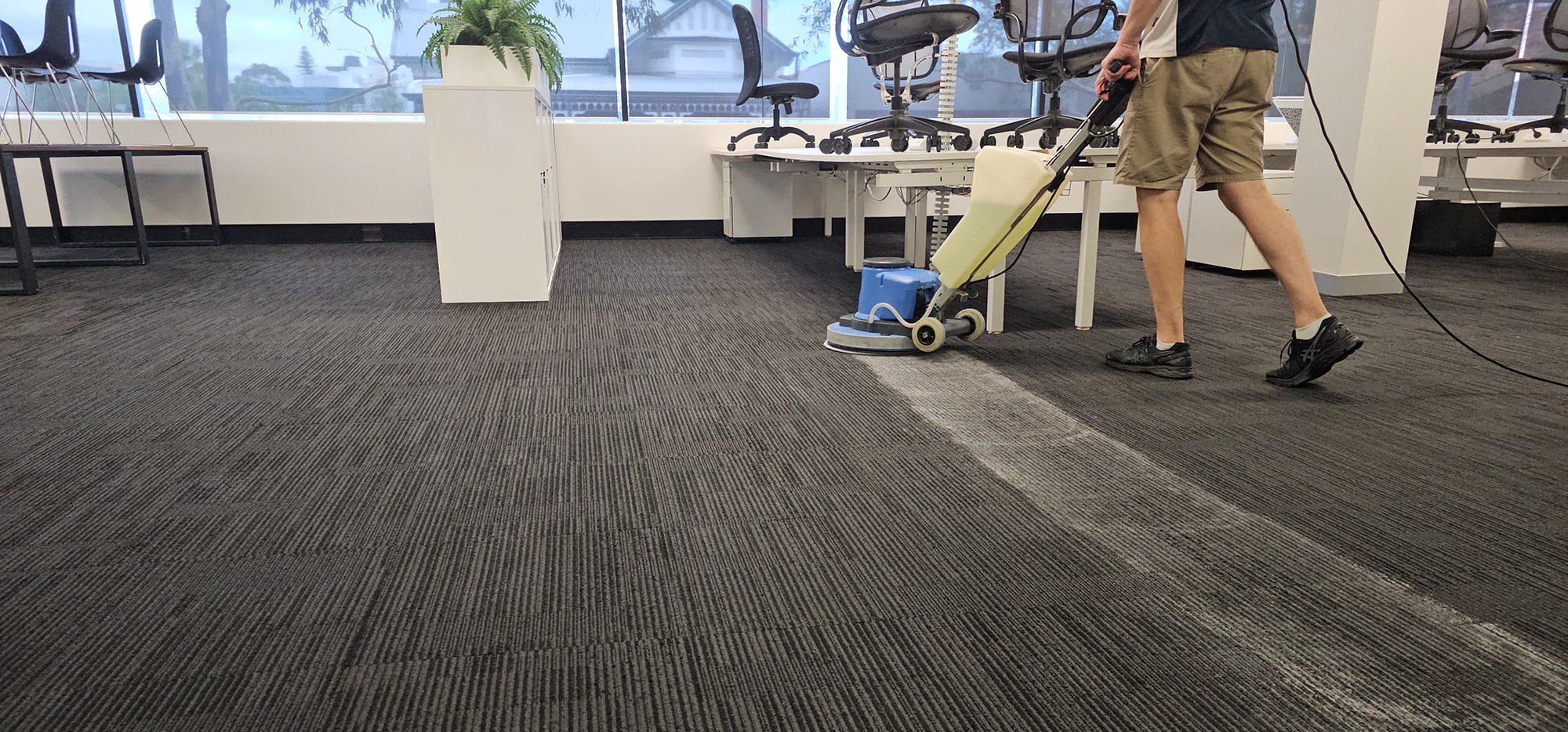 A clean stripe opening up across dark carpet tiles in a Perth open plan office as our scrubbing machine works