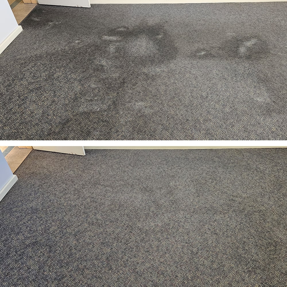 Large dark soil patches across blue grey loop pile carpet in Perth, cleaned out to a bright, uniform finish