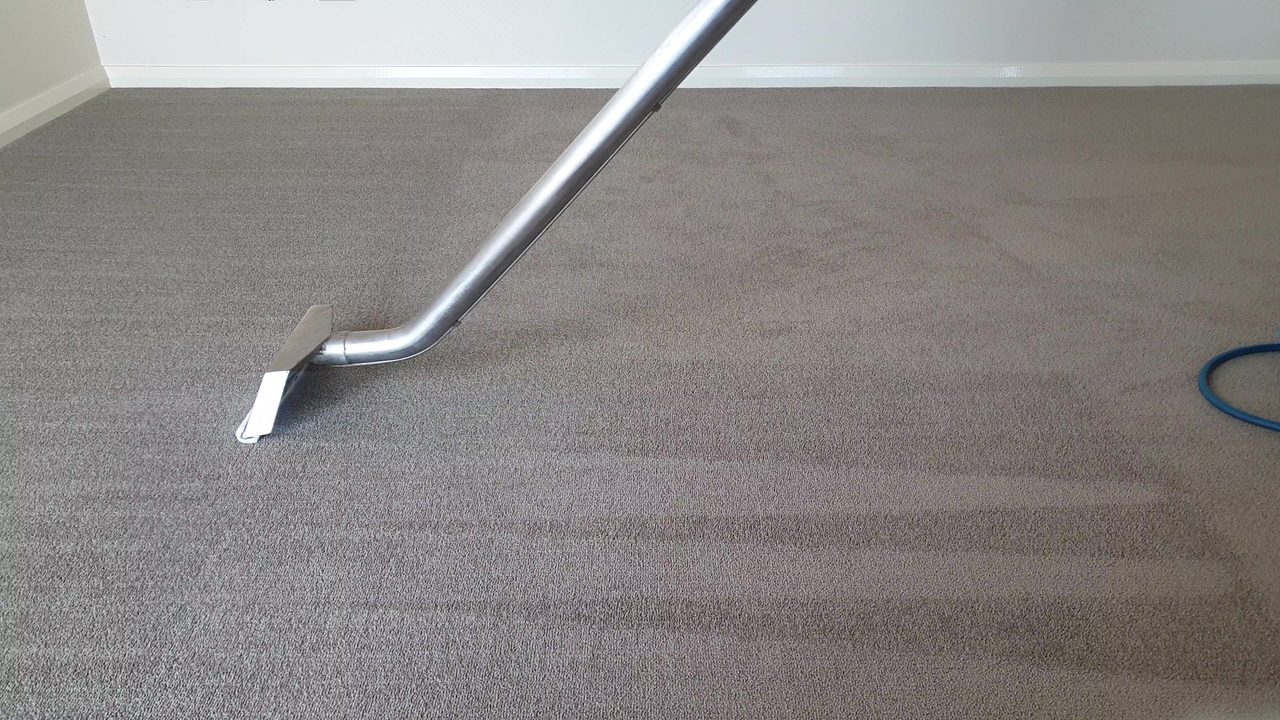 Steam cleaning grey carpet in Perth, our hot water extraction wand drawing straight, overlapping rinse strokes across a cleared room.