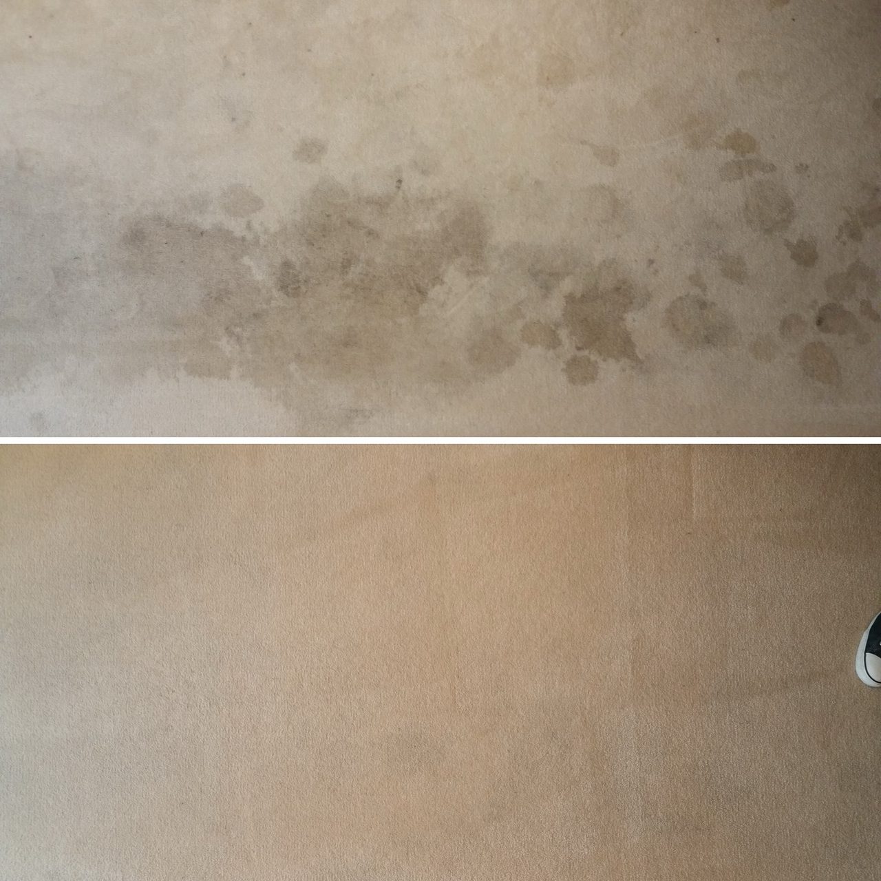 Before and after: brown spots across beige carpet (top), and the same carpet after cleaning (bottom).
