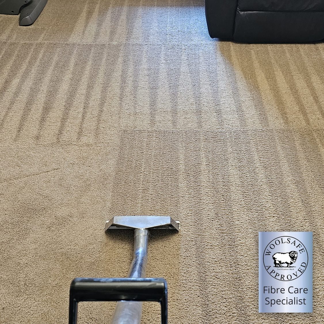 Even wand stripes across cream cut-pile carpet after a hot water extraction clean in Perth, by a WoolSafe Approved Fibre Care Specialist.
