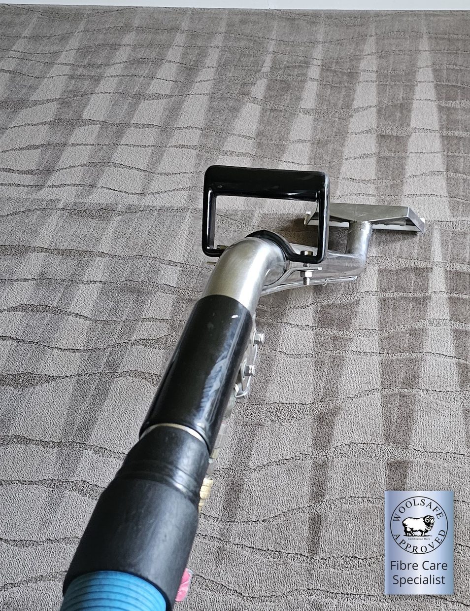 Hot water extraction on a patterned wool carpet in Perth by a WoolSafe Approved Fibre Care Specialist, the wand leaving clean, even passes across the pile.
