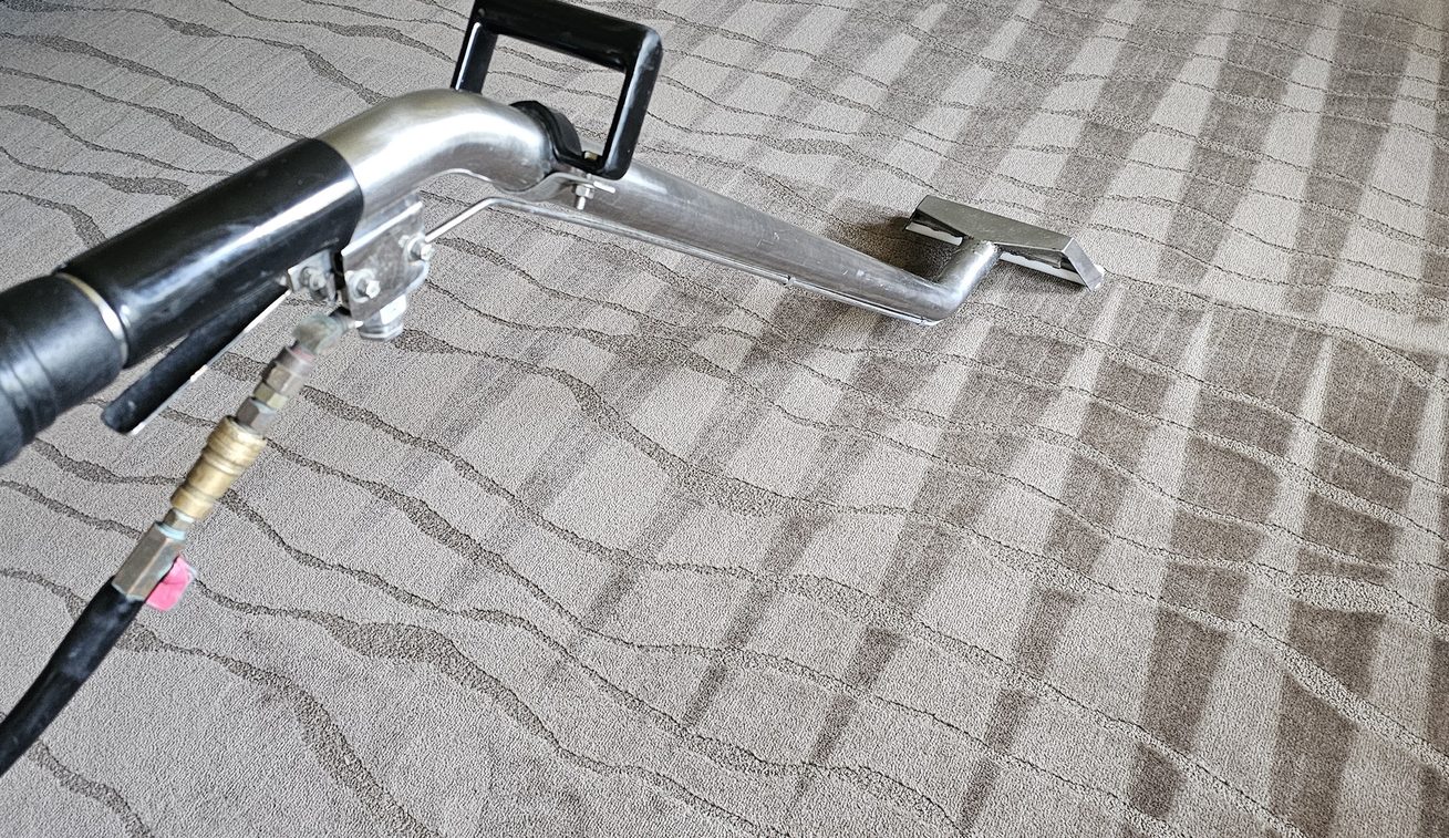 Wool carpet cleaning in Perth: our hot water extraction wand drawing clean, even passes across a patterned wool carpet.