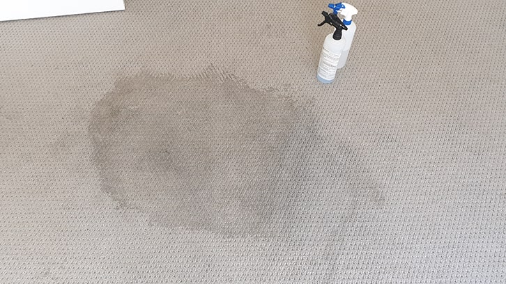Professional carpet stain removal services in Perth.