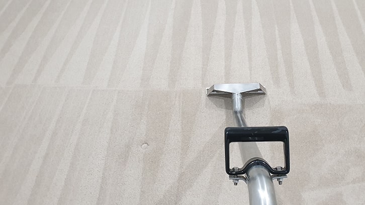 Professional carpet steam cleaning services in Perth.