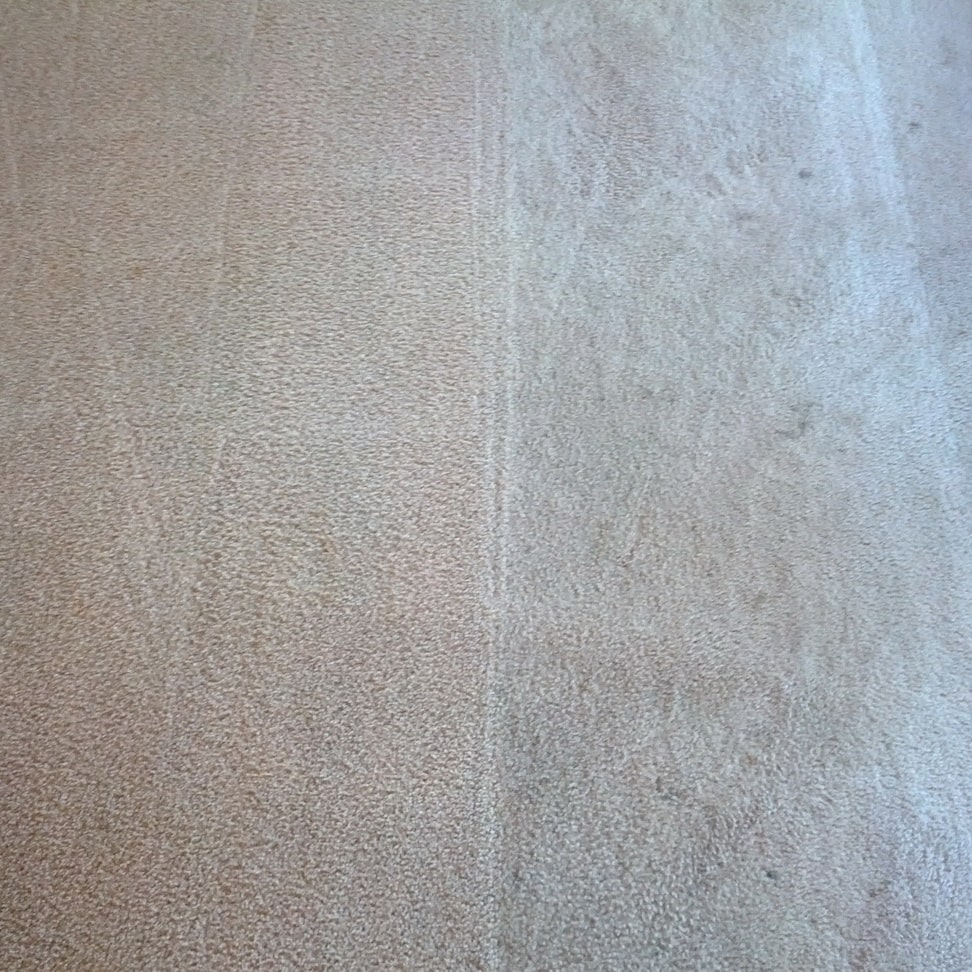 Before and after image - carpet steam cleaning.