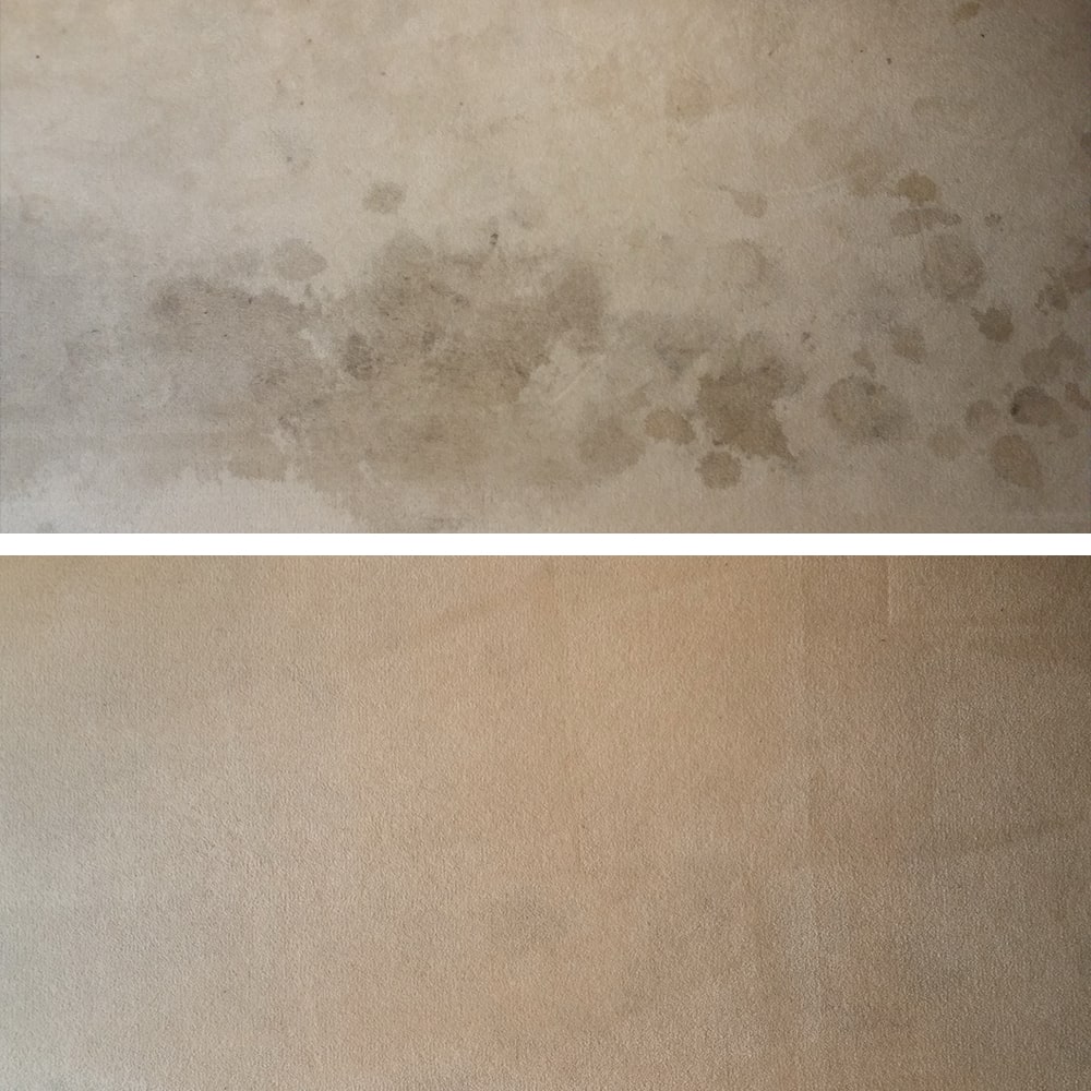 Before and after example of professionally cleaned carpets that had many stains.