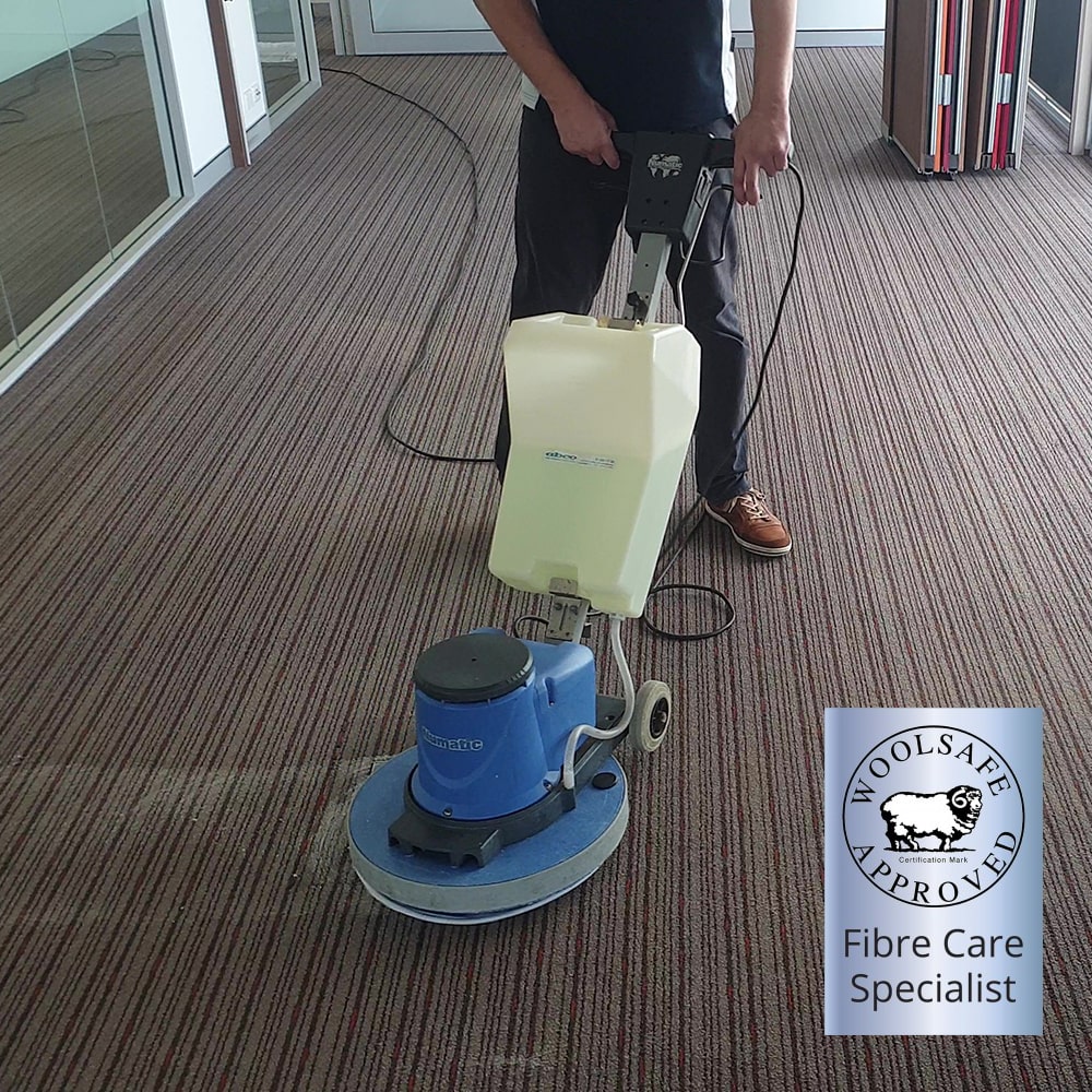 A carpet cleaner cleaning wool carpets in an office. Woolsafe approved fibre care specialist.