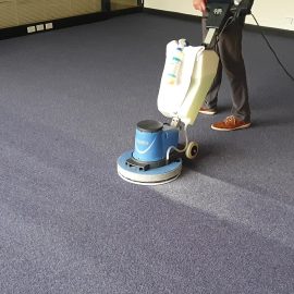 What To Expect From Professional Carpet Cleaners