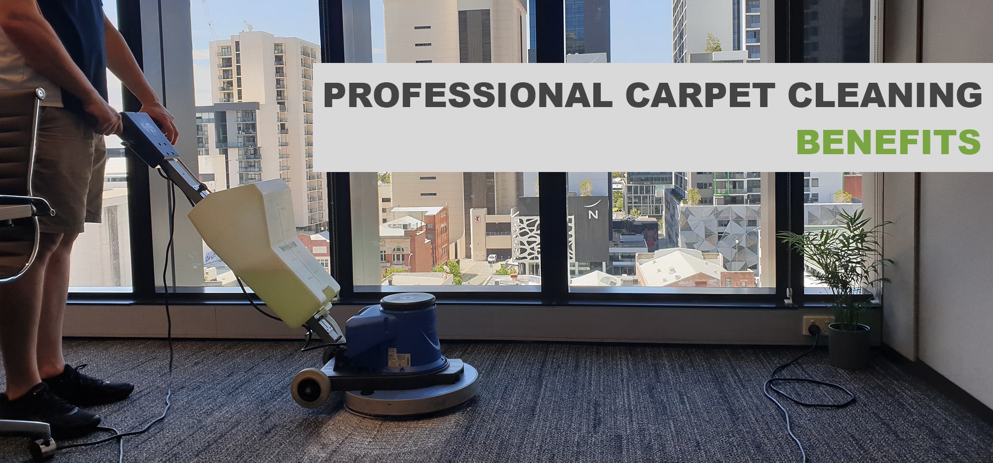 What Are The Benefits Of Professional Carpet Cleaning?