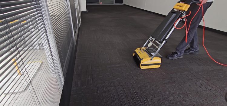 The Importance Of Choosing A Qualified Carpet Cleaner The Importance Of Choosing A Qualified Carpet Cleaner